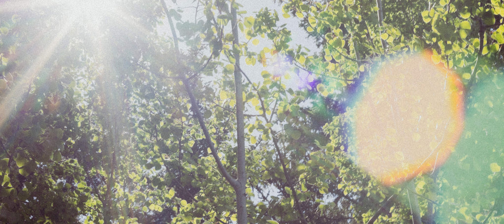 Welcome to the new world of Rocky