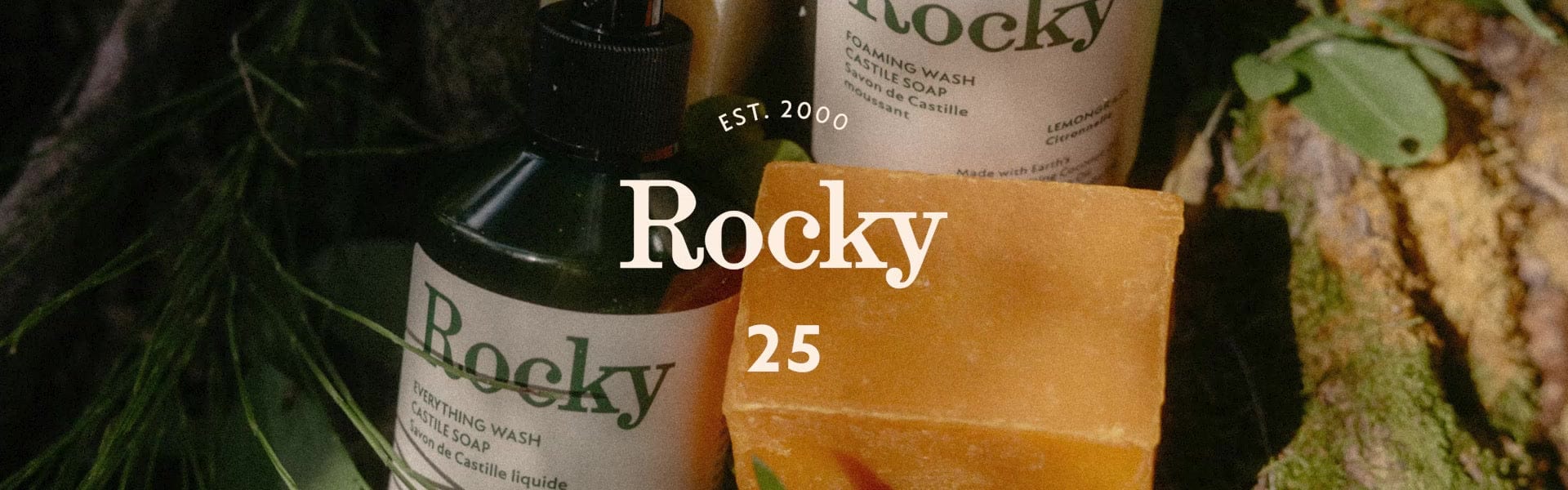 Desktop video fallback image